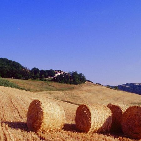 דירות קאלי Agriturismo Il Fienile Di Ca Battista מראה חיצוני תמונה