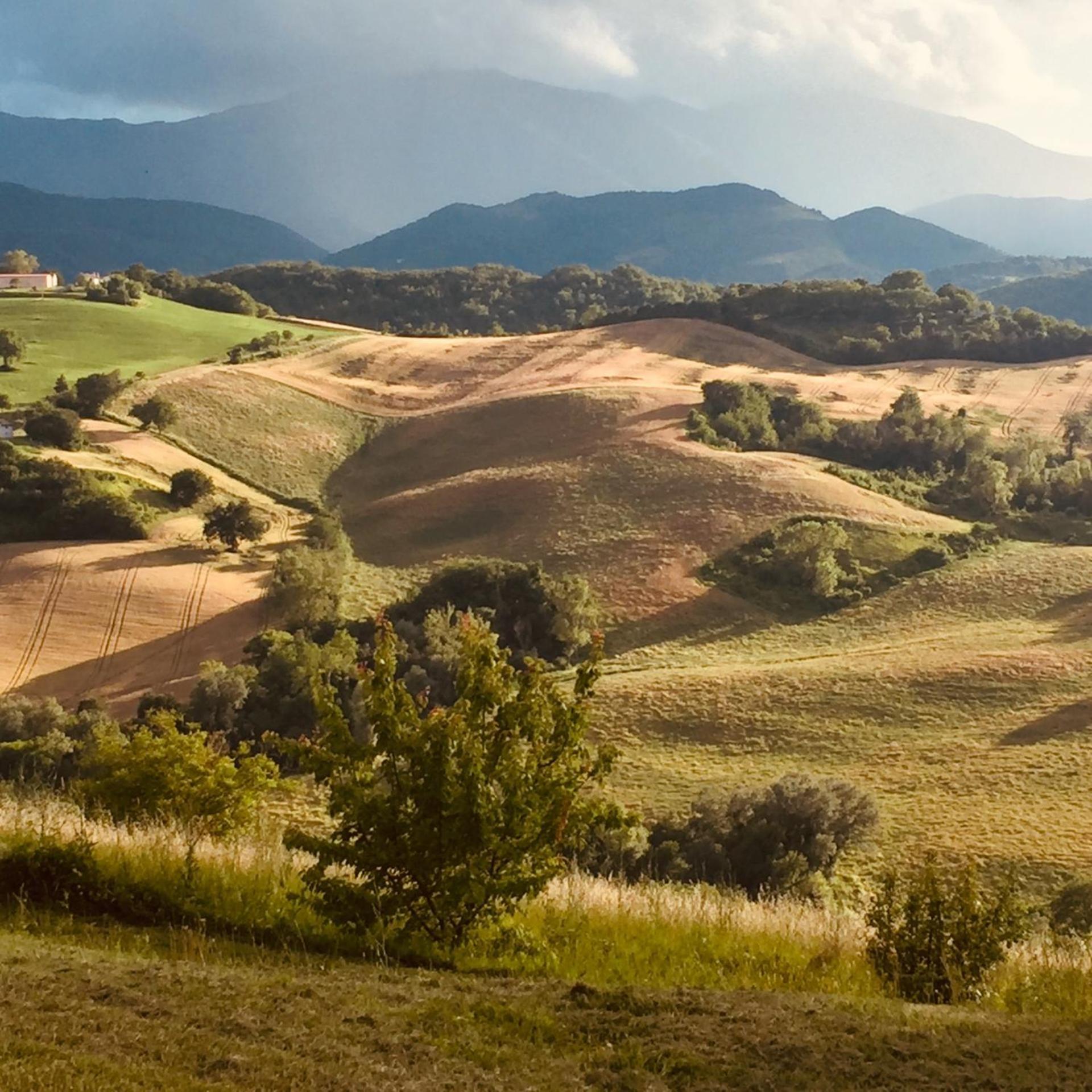 דירות קאלי Agriturismo Il Fienile Di Ca Battista מראה חיצוני תמונה