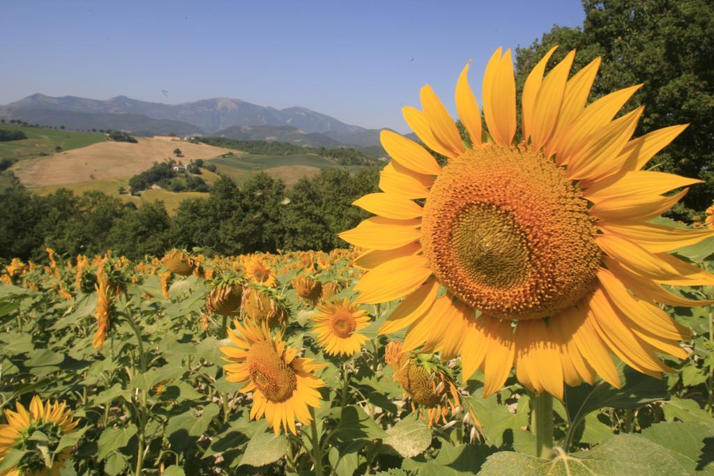 קאלי Agriturismo Il Fienile Di Ca Battista מראה חיצוני תמונה