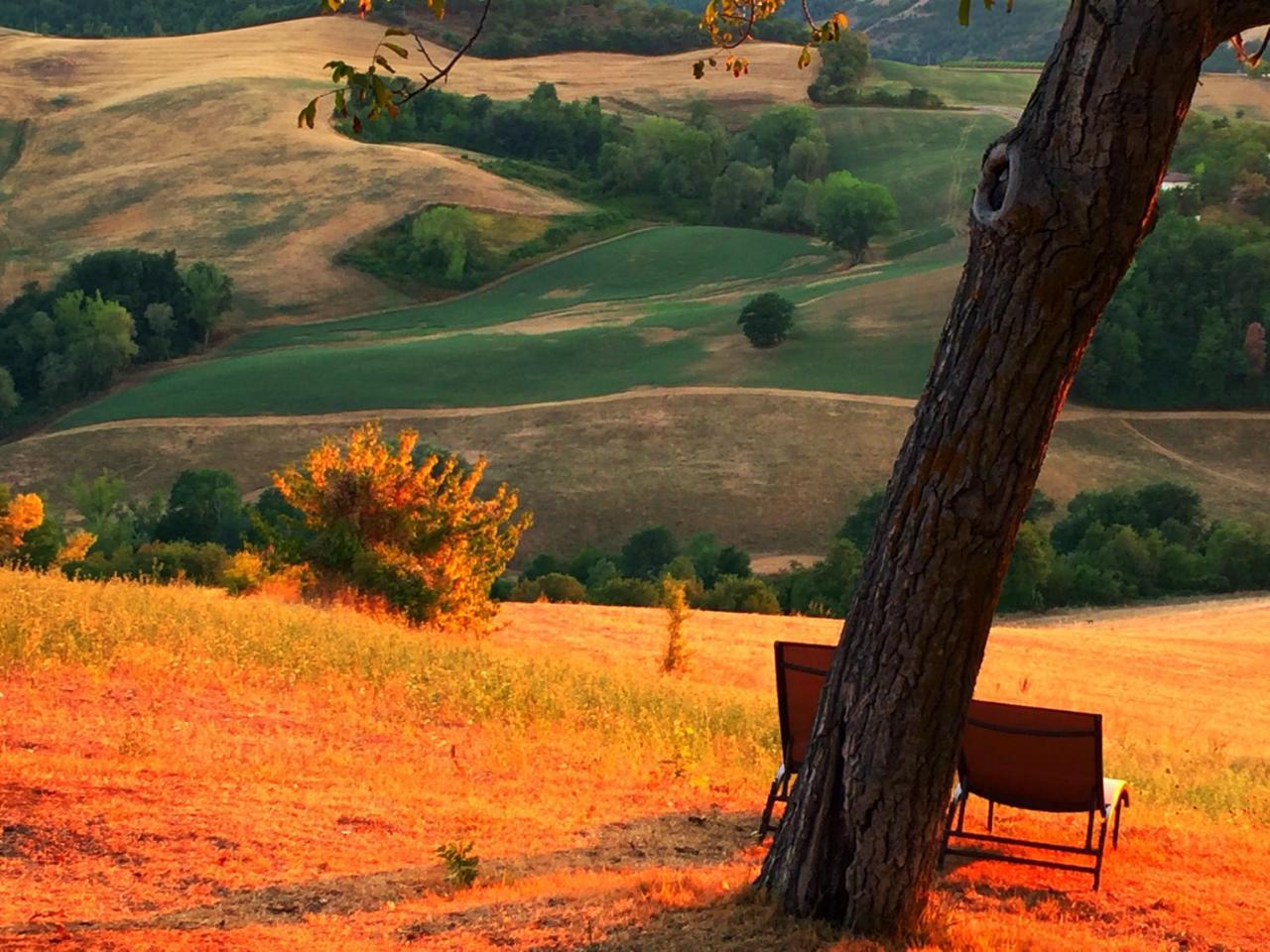 קאלי Agriturismo Il Fienile Di Ca Battista מראה חיצוני תמונה