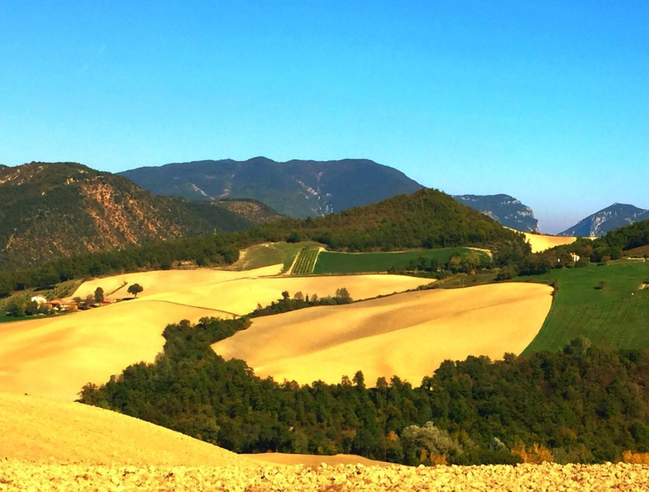 דירות קאלי Agriturismo Il Fienile Di Ca Battista מראה חיצוני תמונה