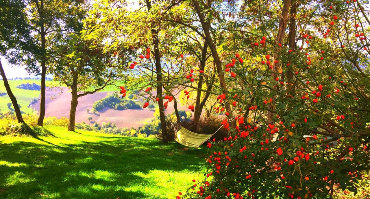 דירות קאלי Agriturismo Il Fienile Di Ca Battista מראה חיצוני תמונה