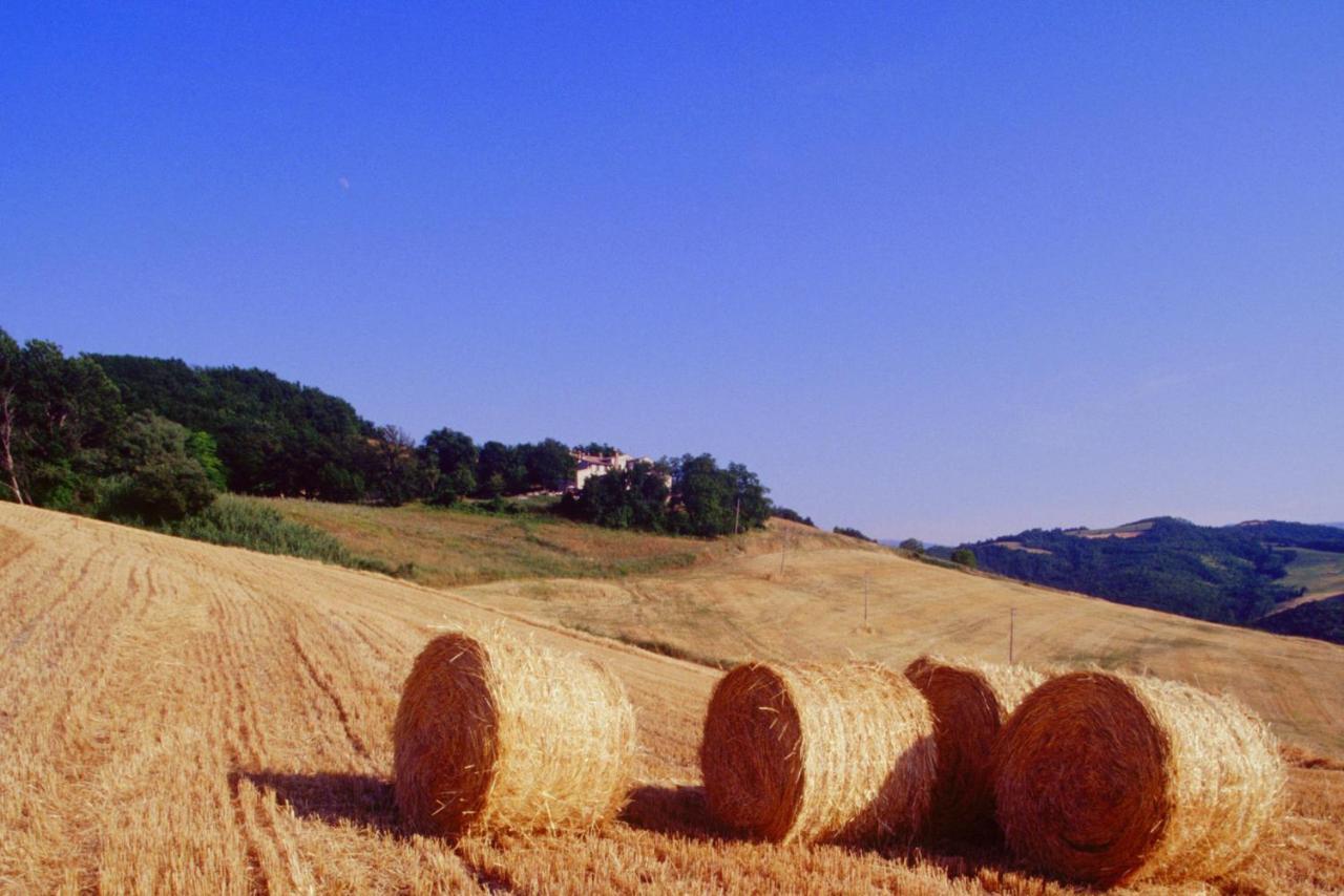 דירות קאלי Agriturismo Il Fienile Di Ca Battista מראה חיצוני תמונה